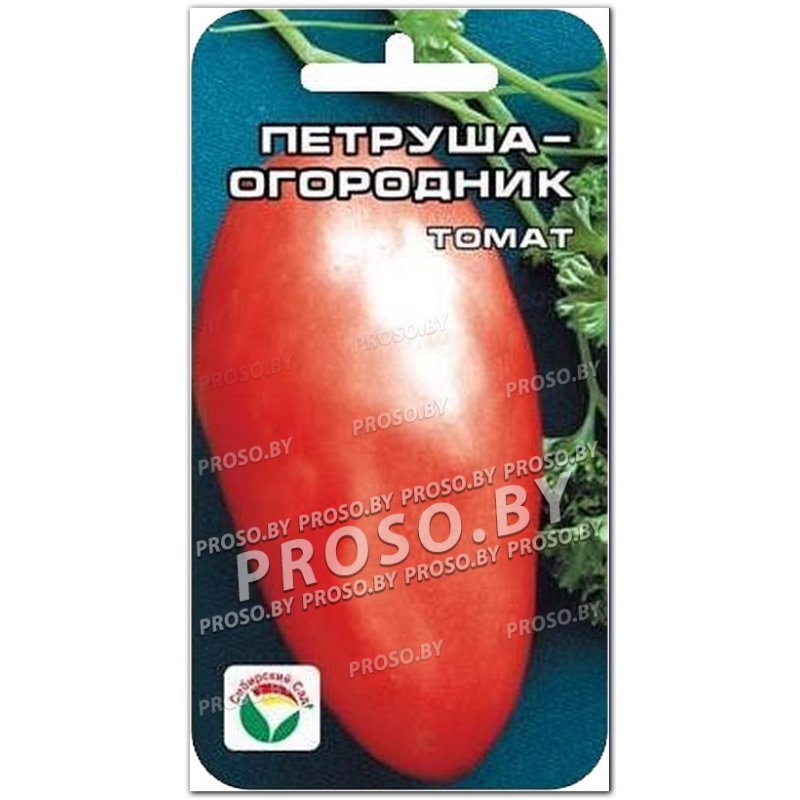 Томаты сорт петрушка. Томаты сорт петрушка