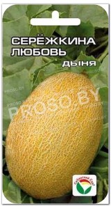 Дыня Сережкина любовь