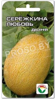 Дыня Сережкина любовь