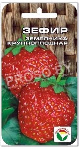 Земляника (клубника) Зефир