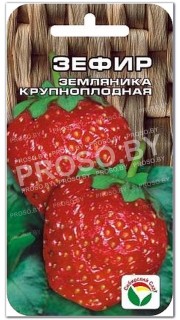 Земляника (клубника) Зефир