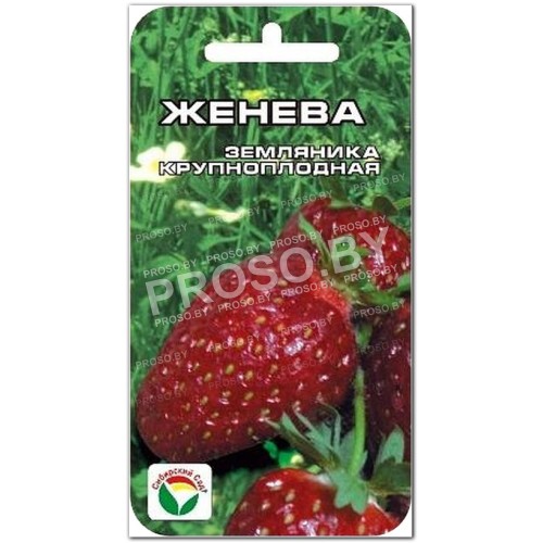 Земляника (клубника) Женева