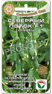 Огурец Северный поток F1