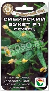 Огурец Сибирский букет F1