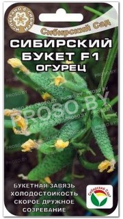 Огурец Сибирский букет F1