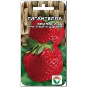Земляника (клубника) Гигантелла
