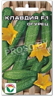 Огурец Клавдия F1
