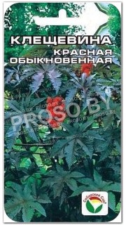 Клещевина Красная