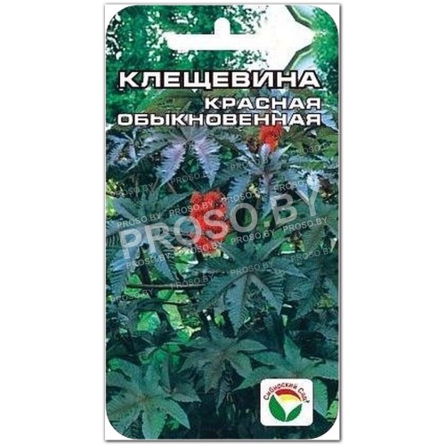 Клещевина Красная