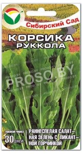 Корсика Руккола