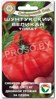 Томат Шунтукский Великан