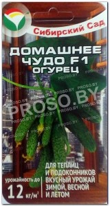 Огурец Домашнее чудо F1