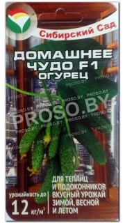 Огурец Домашнее чудо F1