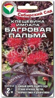 Клещевина Багровая пальма