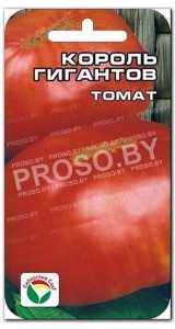 Томат Король гигантов