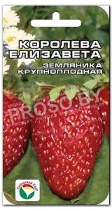 Земляника (клубника) Королева Елизавета