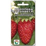 Земляника (клубника) Королева Елизавета