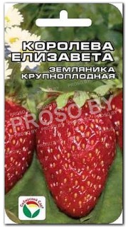 Земляника (клубника) Королева Елизавета