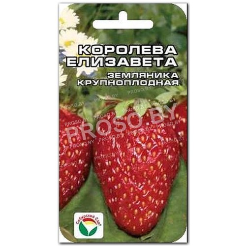 Земляника (клубника) Королева Елизавета