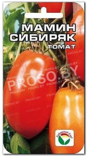 Томат Мамин Сибиряк