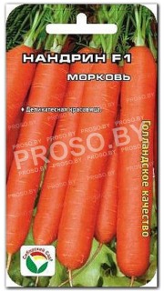 Морковь Нандрин F1