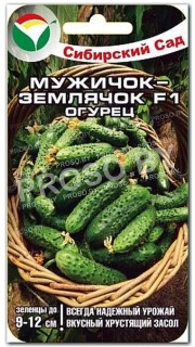 Огурец Мужичок-землячок F1