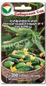 Огурец Сибирский многодетный F1
