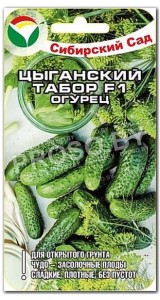 Огурец Цыганский табор F1