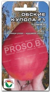 Томат Обские купола
