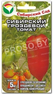 Томат Сибирский гроздевой