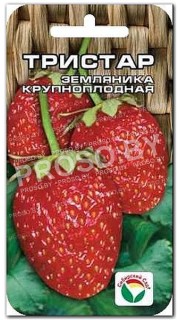 Земляника (клубника) Тристар