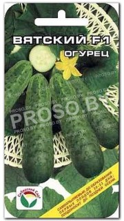 Огурец Вятский F1
