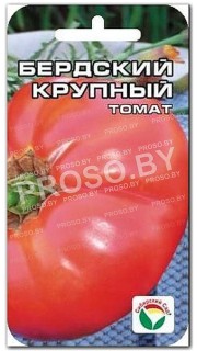Томат Бердский крупный