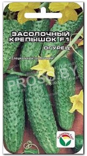 Огурец Засолочный крепышок F1