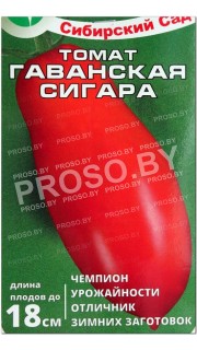 Томат Гаванская сигара