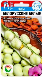 Бобы Белорусские белые