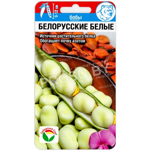 Бобы Белорусские белые