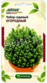 Чабер садовый Огородный