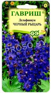 Дельфиниум Черный рыцарь