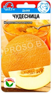 Дыня Чудесница