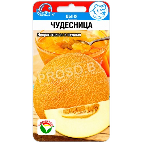 Дыня Чудесница