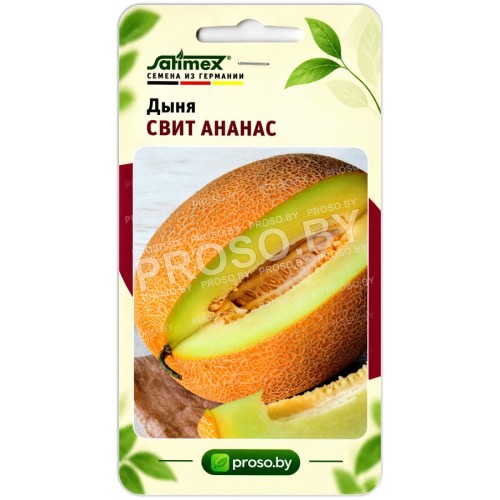 Дыня Свит Ананас
