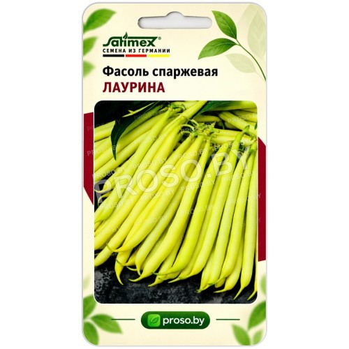 Фасоль спаржевая Лаурина