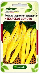 Фасоль спаржевая вьющаяся Некарское золото