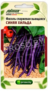 Фасоль спаржевая вьющаяся Синяя Хильда