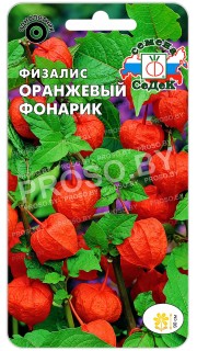 Физалис Оранжевый фонарик