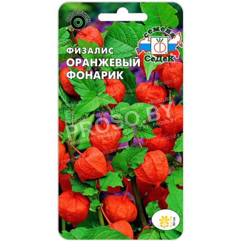 Физалис Оранжевый фонарик