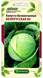 Капуста белокочанная Белорусская 85