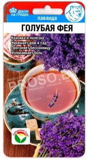 Лаванда Голубая фея