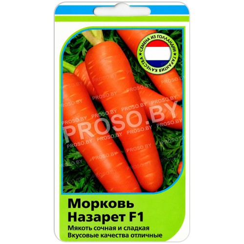 Морковь Назарет F1